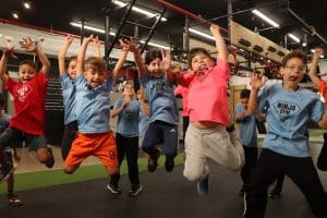 נינג׳ה ג׳ים