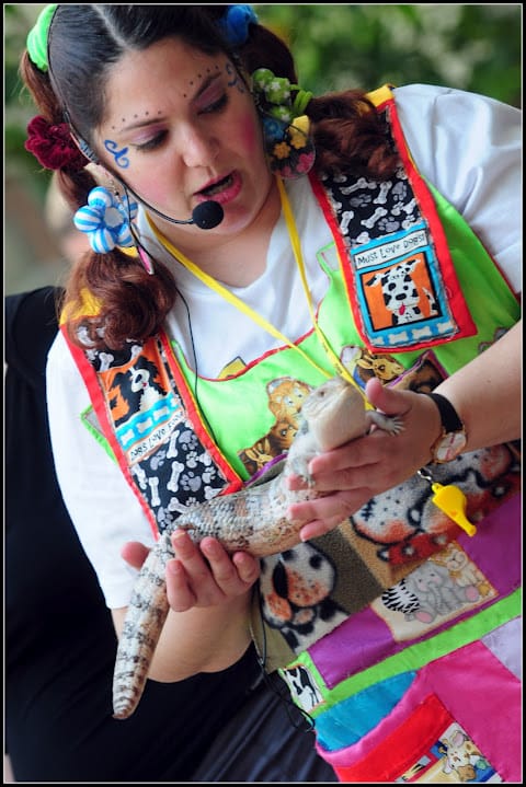 בילבולית בלשית החיות