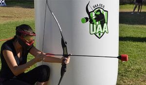 חץ וקשת - תמונת גלריה